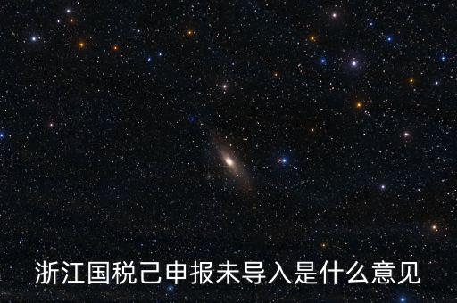 浙江國稅己申報未導(dǎo)入是什么意見