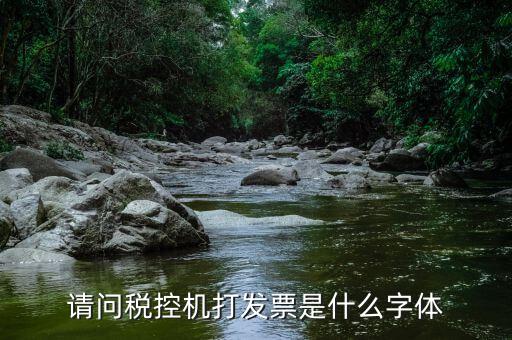 發(fā)票用什么字體，請(qǐng)問(wèn)稅控機(jī)打發(fā)票是什么字體