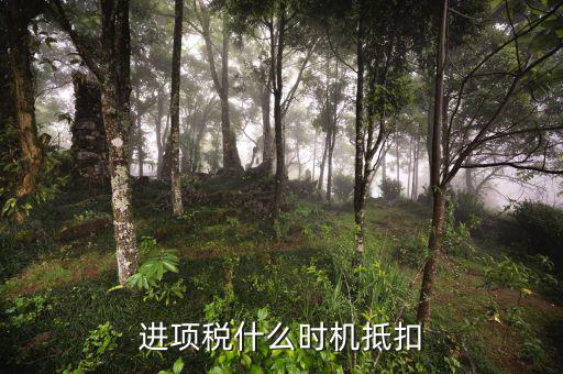 認(rèn)證的進(jìn)項(xiàng)稅什么時(shí)候抵扣，進(jìn)項(xiàng)稅什么時(shí)機(jī)抵扣