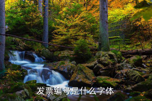 發(fā)票上的號碼是什么字體，發(fā)票編號是什么字體