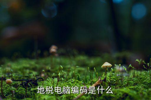 什么是地稅微機代碼，稅務微機編碼是什么