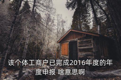 個體戶申報是什么意思，該個體工商戶已完成2016年度的年度申報 啥意思啊