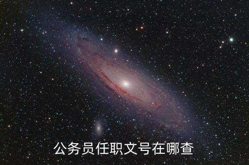 什么地方可以查任職文號(hào)，公務(wù)員任職文號(hào)在哪查