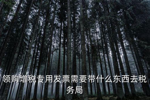 領專票帶什么資料，去稅務局領發(fā)票需要帶什么資料去