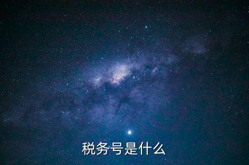什么是稅務(wù)登記號(hào)，稅務(wù)號(hào)是什么