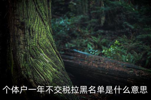 什么是納稅信用黑名單，個體戶一年不交稅拉黑名單是什么意思