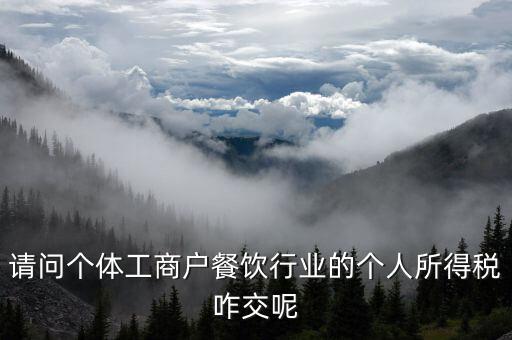 請問個(gè)體工商戶餐飲行業(yè)的個(gè)人所得稅咋交呢