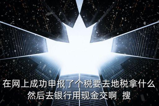 在網(wǎng)上成功申報(bào)了個稅要去地稅拿什么然后去銀行用現(xiàn)金交啊  搜