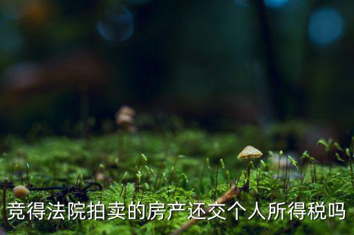 競(jìng)得法院拍賣的房產(chǎn)還交個(gè)人所得稅嗎