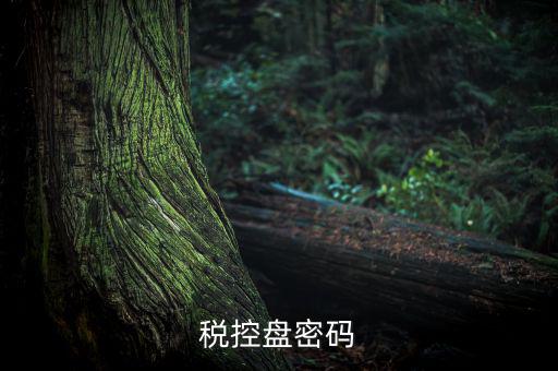 稅控盤證書密碼是什么意思，稅控盤上報(bào)匯總密碼是什么