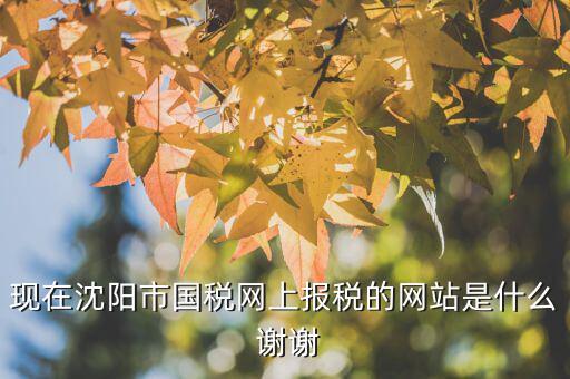 國稅交稅的網(wǎng)站是什么，現(xiàn)在沈陽市國稅網(wǎng)上報稅的網(wǎng)站是什么 謝謝