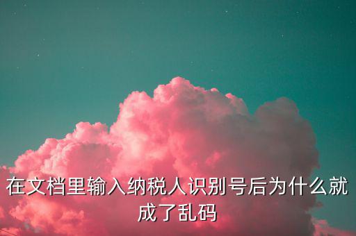 個稅導(dǎo)入模板為什么是亂碼，在文檔里輸入納稅人識別號后為什么就成了亂碼