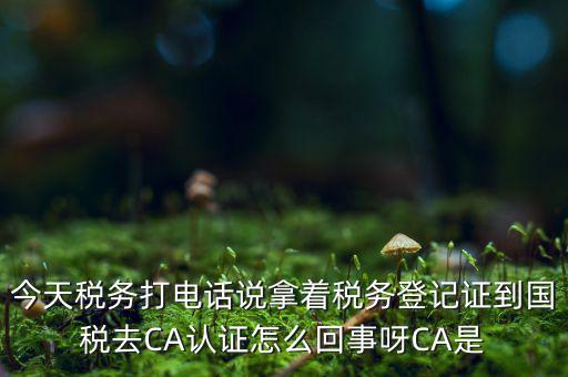 稅務(wù)局ca證書(shū)是什么，今天稅務(wù)打電話說(shuō)拿著稅務(wù)登記證到國(guó)稅去CA認(rèn)證怎么回事呀CA是