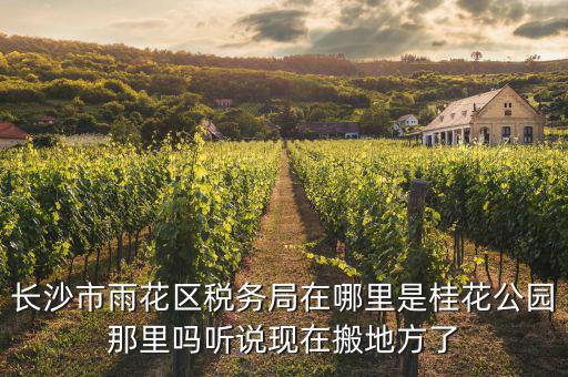 長沙國稅局在什么地方，長沙國稅局在哪