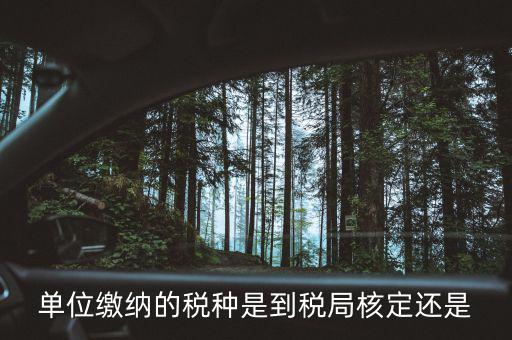 什么時候 稅種核定，單位繳納的稅種是到稅局核定還是