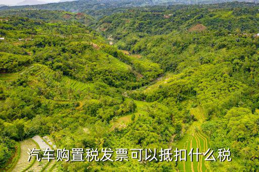 車輛發(fā)票可以抵扣什么，公司買一臺車請問買車的發(fā)票可以作為進票抵扣嗎