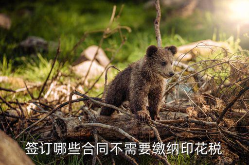 什么合同需要交印花稅，要交印花稅的合同有哪些