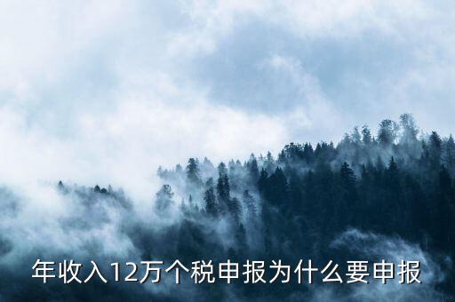 為什么12萬要申報表，每個月都已繳納為什么年收入超過12萬還需要再申報