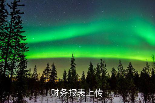 每年上傳什么財(cái)務(wù)報(bào)表，報(bào)哪些稅時(shí)需要上傳財(cái)務(wù)報(bào)表麻煩詳細(xì)一點(diǎn)報(bào)增值稅時(shí)怎樣上傳財(cái)