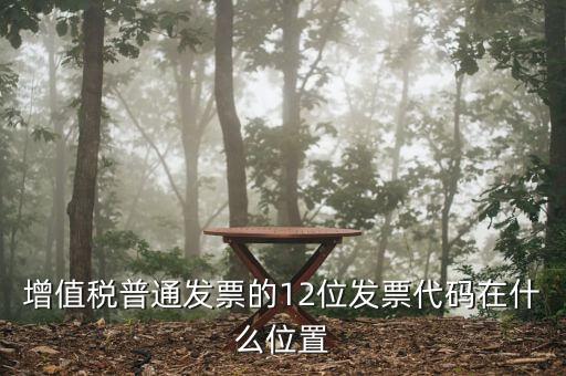 12位發(fā)票代碼是什么，增值稅普通發(fā)票的12位發(fā)票代碼在什么位置