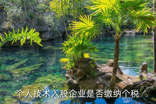 個(gè)人專利入股繳什么稅，請教稅法高手個(gè)人專利技術(shù)入股需繳稅嗎