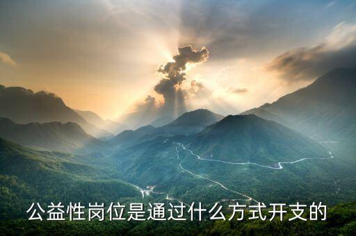 什么是公益性支出，公益性崗位是通過什么方式開支的