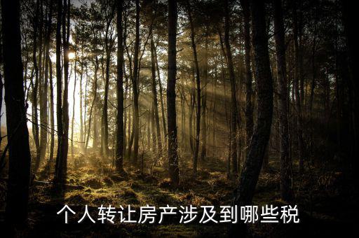 個人出售住房交什么稅，賣房子要交20的稅