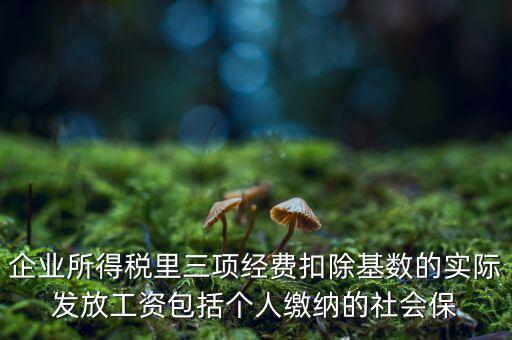企業(yè)所得稅扣除基數(shù)指什么，企業(yè)所得稅里三項經(jīng)費扣除基數(shù)的實際發(fā)放工資包括個人繳納的社會保