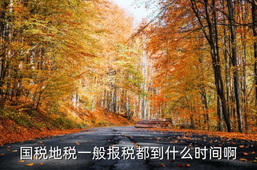 國(guó)稅上報(bào)省局什么時(shí)候，國(guó)稅地稅網(wǎng)上報(bào)稅時(shí)間