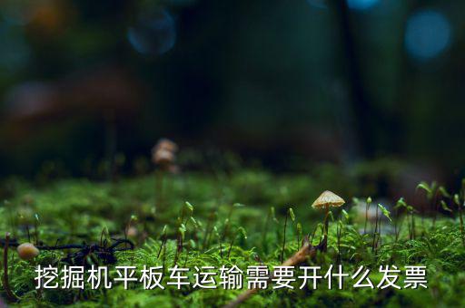 挖掘機(jī)平板車(chē)運(yùn)輸需要開(kāi)什么發(fā)票
