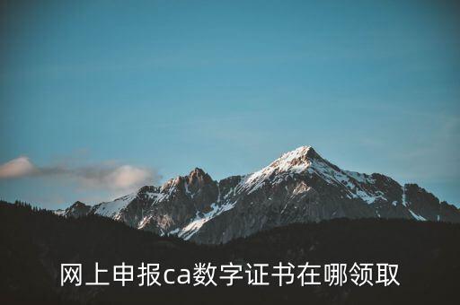 申報領取什么CA，財務報稅的ca通道是什么