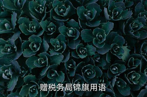 贈(zèng)送稅務(wù)所錦旗寫(xiě)什么，贈(zèng)稅務(wù)局錦旗用語(yǔ)
