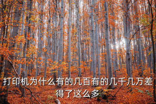 發(fā)票打印機(jī)為什么這么貴，為什么針式打印機(jī)還是那么貴