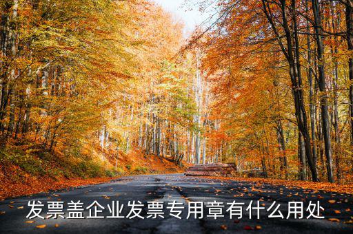 發(fā)票專用章有什么用，公司的發(fā)票專用章是干嘛用的