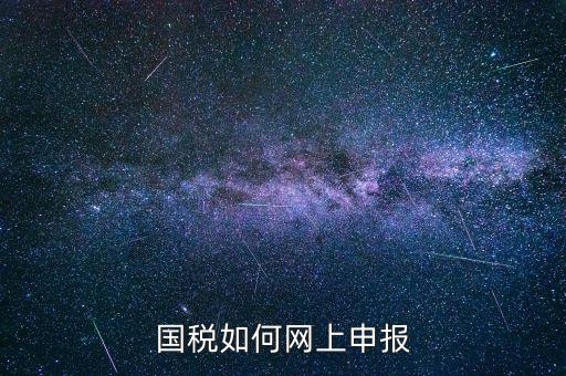 企業(yè)國稅申報上什么網(wǎng)，企業(yè)稅務(wù)申報去哪個網(wǎng)站