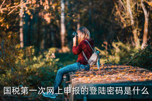 深圳網(wǎng)廳國稅登錄秘碼是什么意思，稅務(wù)局網(wǎng)站的登入賬戶初始密碼是什么