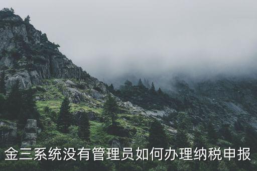 金三申報(bào)申報(bào)什么意思，申報(bào)是什么意思