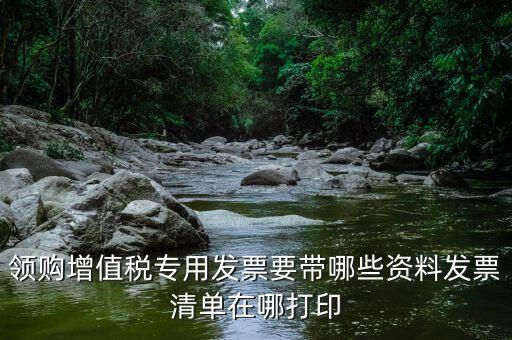 公司領(lǐng)票需要什么資料，領(lǐng)購增值稅專用發(fā)票要帶哪些資料發(fā)票清單在哪打印