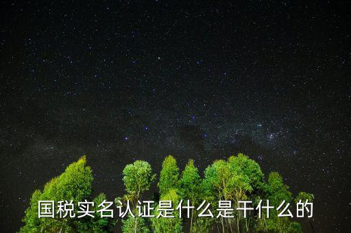 國稅實(shí)名制認(rèn)證要什么手續(xù)，國稅實(shí)名認(rèn)證是什么是干什么的