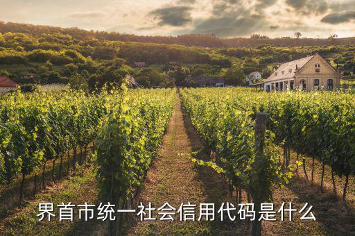 統(tǒng)一社會信息用代碼是什么樣的，深圳碼統(tǒng)一社會信用代碼是什么