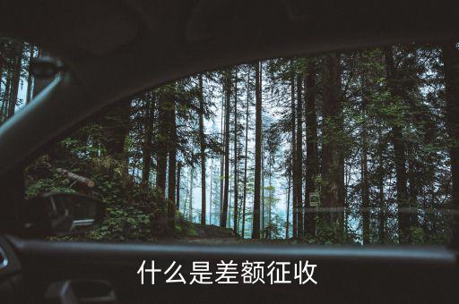 什么是增值稅差額征稅，差額稅是啥東西