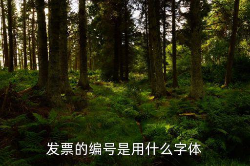 發(fā)票中公司字體是什么字體，發(fā)票的編號(hào)是用什么字體
