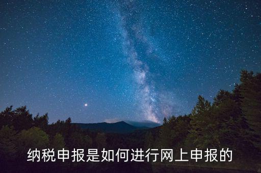 納稅人的網(wǎng)上申報(bào)屬于什么方式，網(wǎng)上申報(bào)屬于