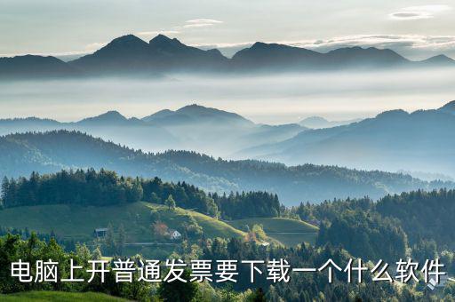 電腦上開(kāi)普通發(fā)票要下載一個(gè)什么軟件