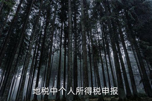 地稅申報(bào)個(gè)稅是什么意思，為什么地稅要登記個(gè)稅呢