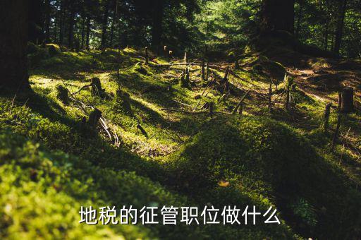 省地稅局是做什么的，地方稅務局
