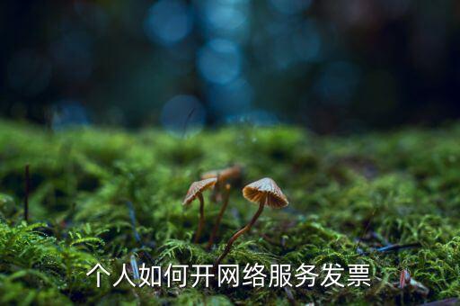 個人如何開網(wǎng)絡(luò)服務(wù)發(fā)票