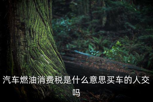 成品油消費稅什么意思，成品油消費稅和燃油稅