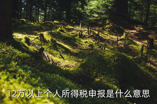 個(gè)稅12萬(wàn)申報(bào)是什么意思，12萬(wàn)以上個(gè)人所得稅申報(bào)是什么意思