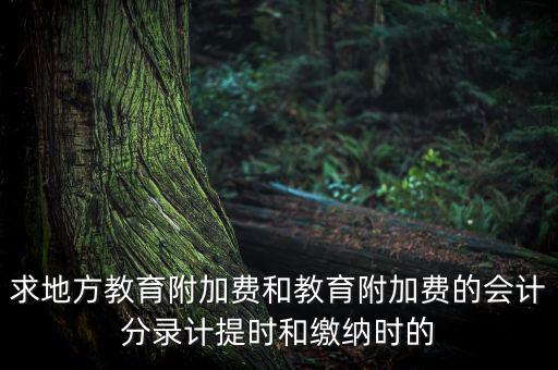 地方教育費(fèi)附加是什么意思，教育費(fèi)附加代表什么意思